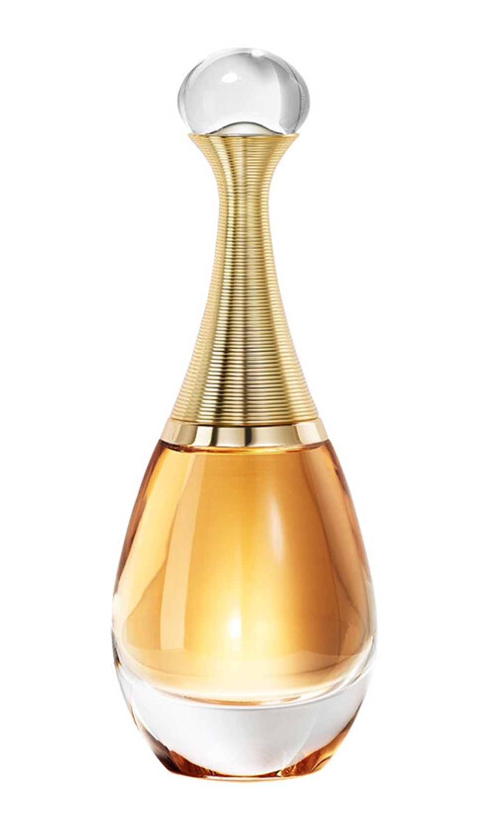 J`Adore L`Absolu