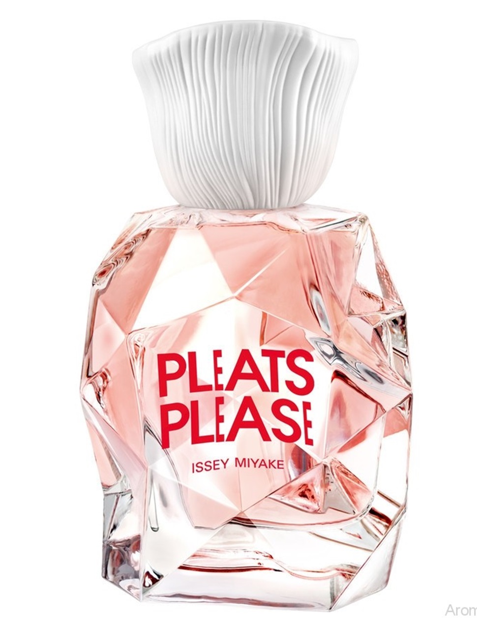 Pleats Please