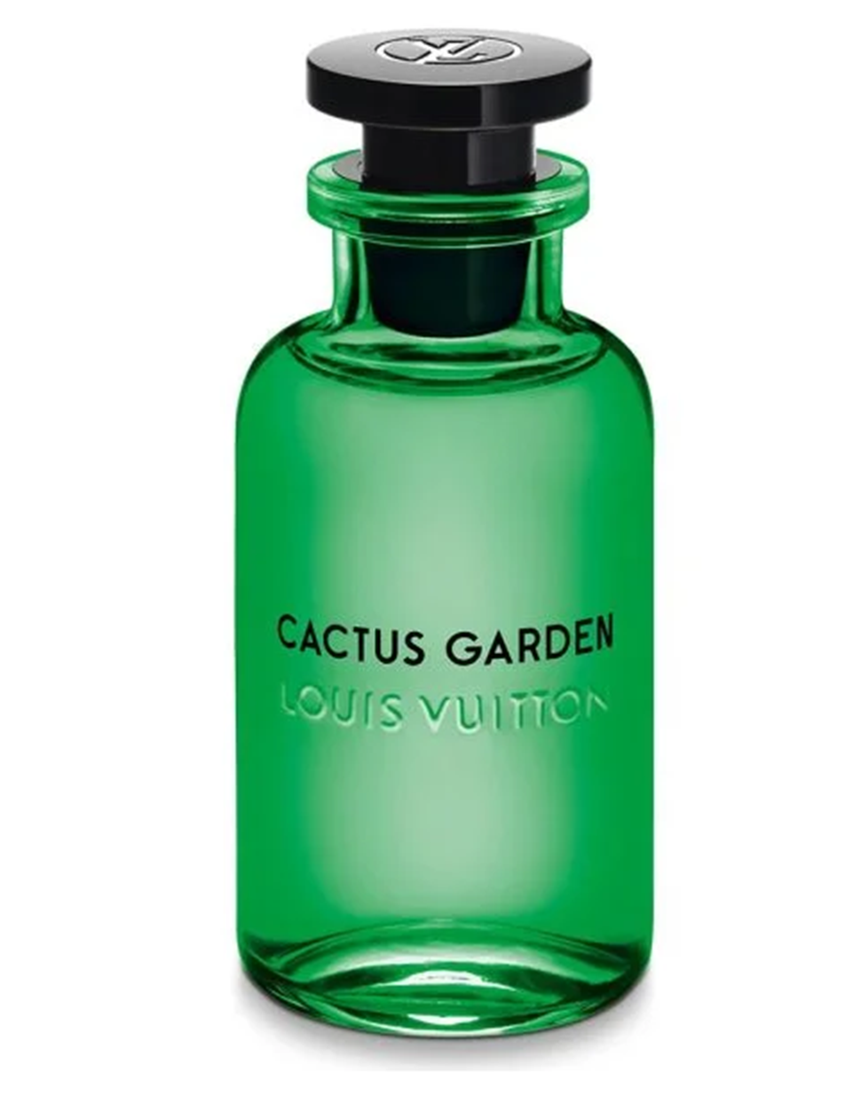 Cactus Garden