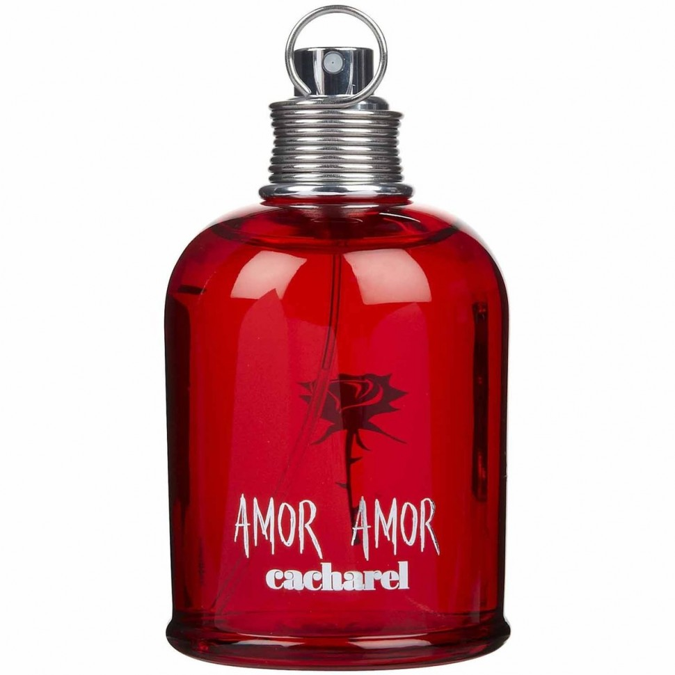 Amor Amor 